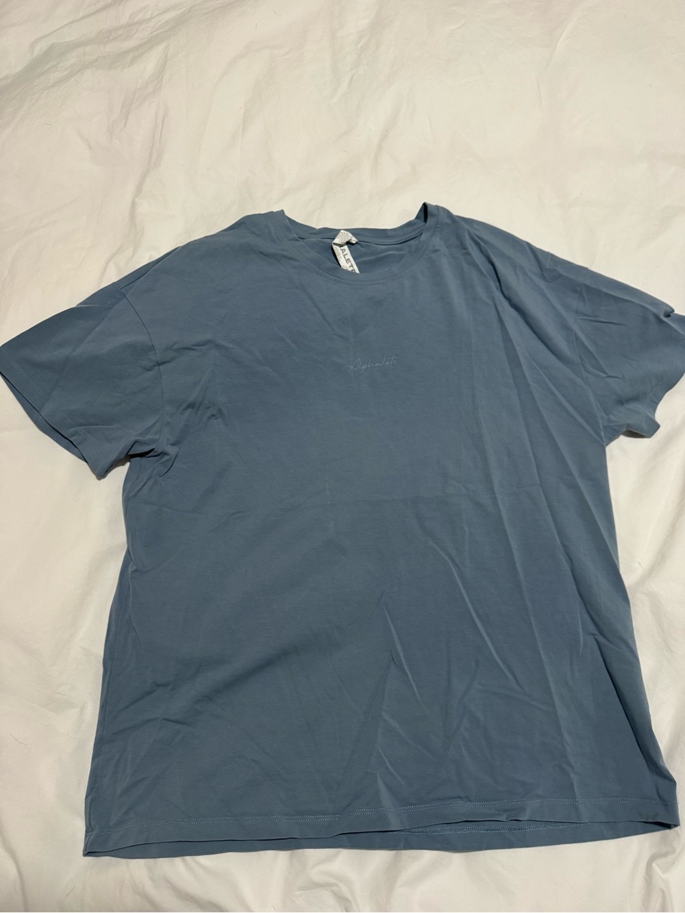 Alphalete signature oversized tee in Fog Blue